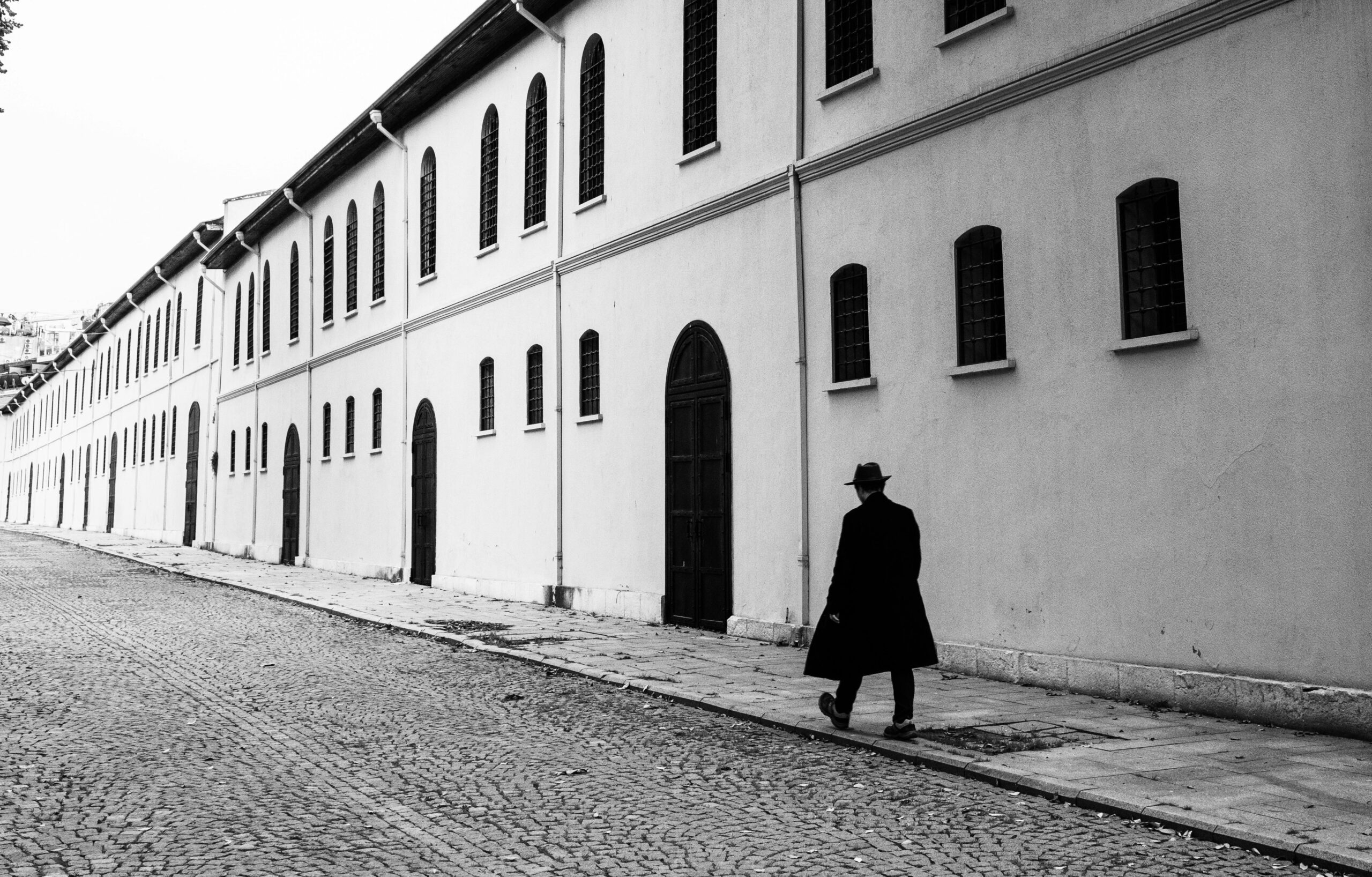 Mračna strana svesti u romanu „Đavo u nama“ Sabahatina Alija
