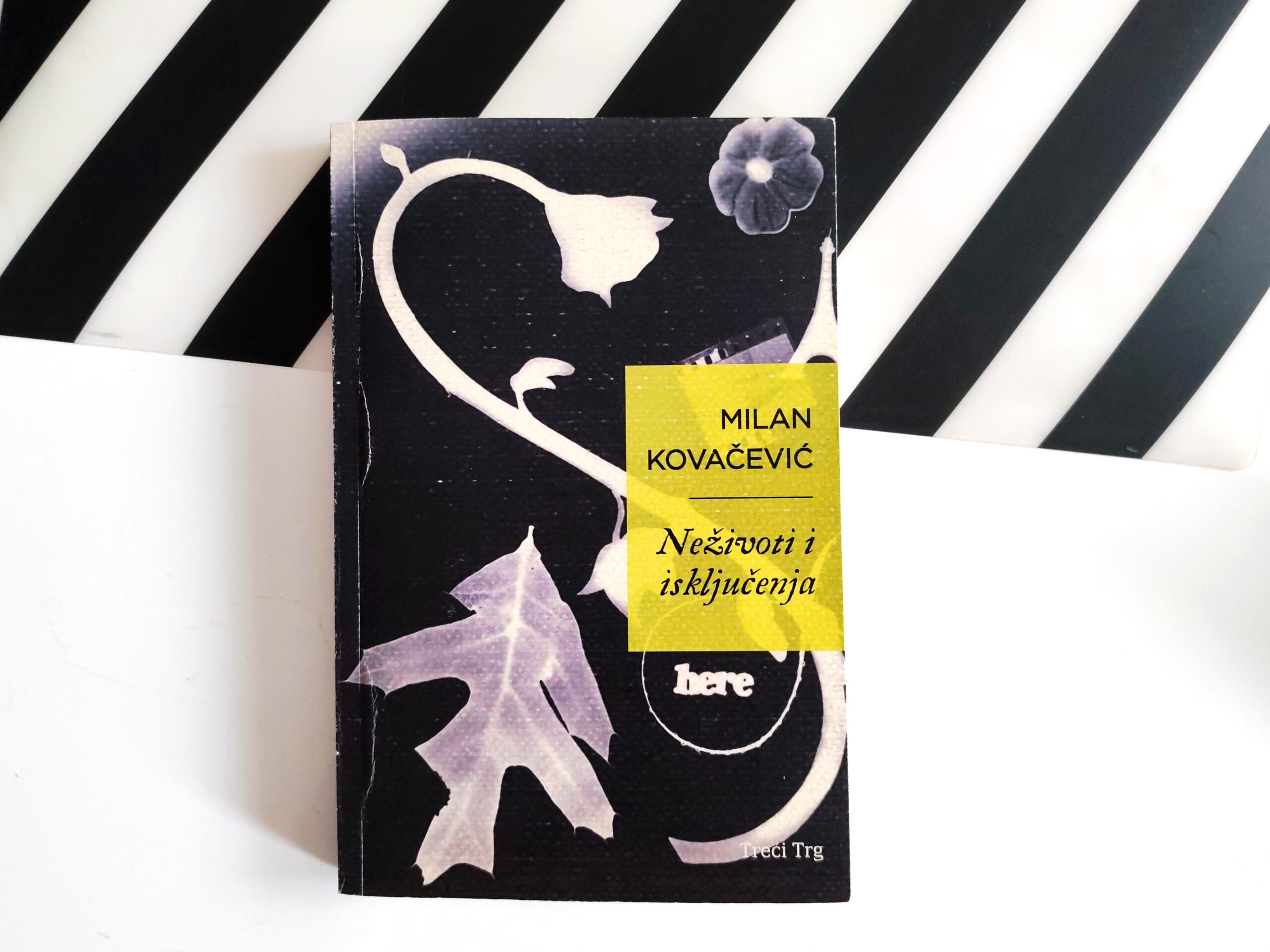 Novosadski Hambert Hambert u romanu „Neživoti i isključenja“ Milana Kovačevića