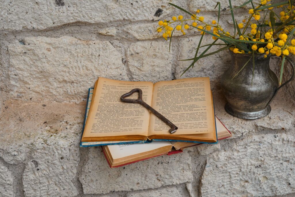 Ključ - Priča Milanke Sulejić